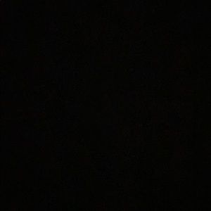 Meet your Posher, Danya